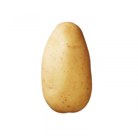 Kartoffel Erika